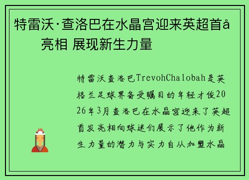 特雷沃·查洛巴在水晶宫迎来英超首发亮相 展现新生力量